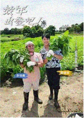 即兴喜剧大乱斗 免费追剧平台哪个好